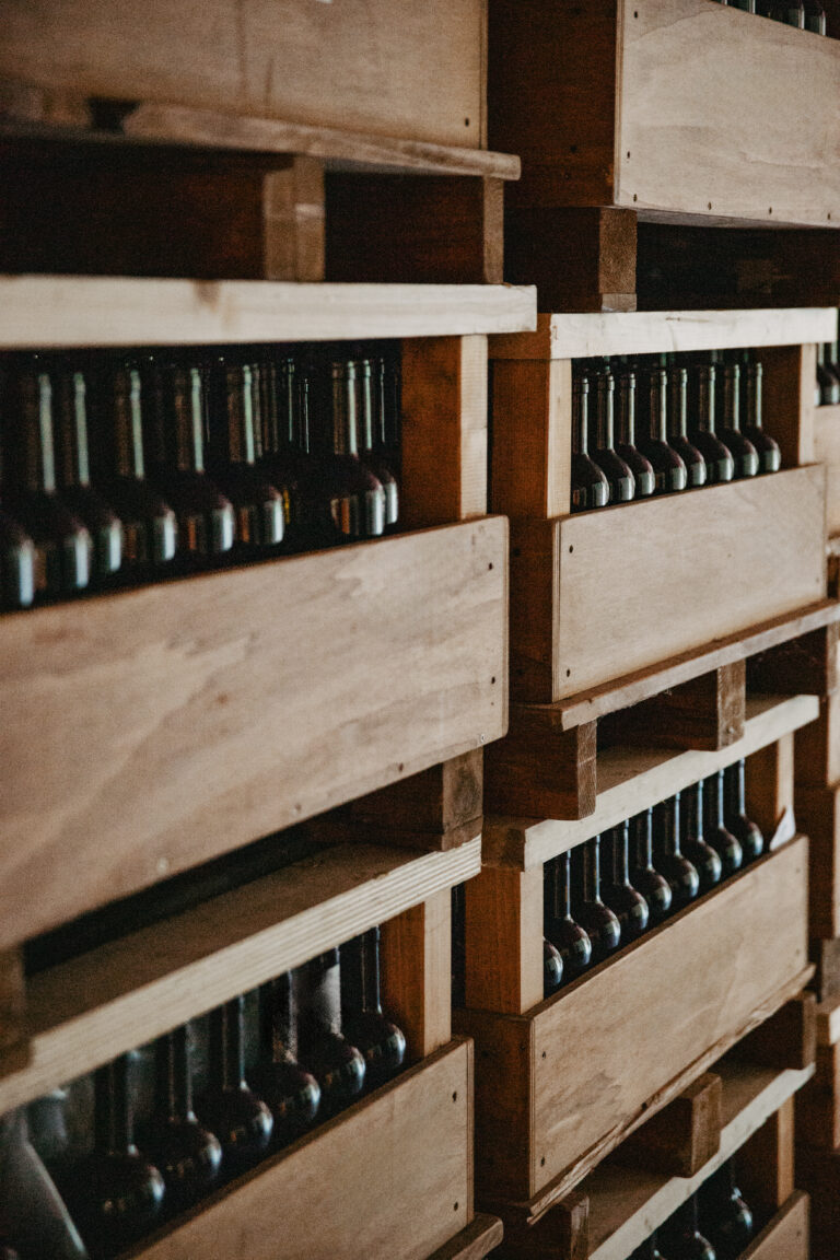 foto-contenuti-social